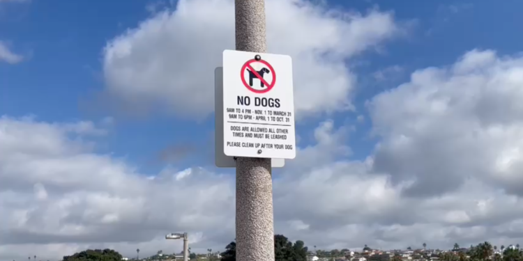 Reúnen firmas para anular prohibición de perros en playa de Mission Beach