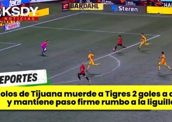 Xolos muerde a Tigres  2 goles a cero y sueña con liguilla!