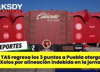 Xolos, Zonkeys, Aztecs baloncesto y Toreros Fc.