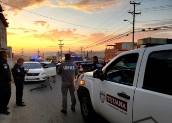 UMAS brindó cerca de mil atenciones durante 2023