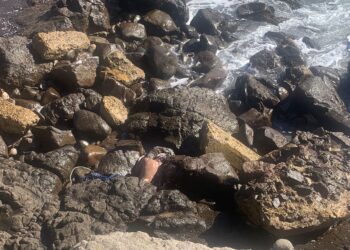 Rescatan cuerpo sin vida entra las rocas de Playa Encantada