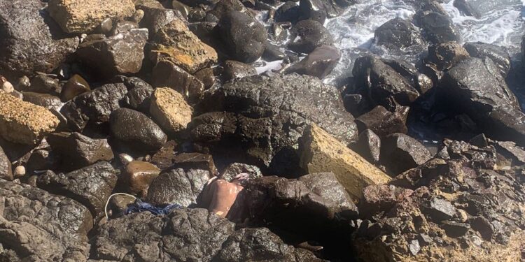 Rescatan cuerpo sin vida entra las rocas de Playa Encantada