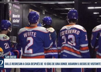 LAFC pierde la final, Aztecs baloncesto y Gulls de San Diego regresan a casa.