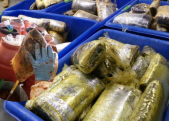 CBP incauta $10 millones en cocaína y metanfetamina dentro de pasta de jalapeño