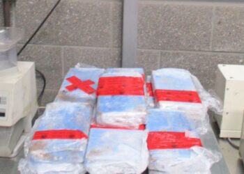 Decomisan más de 2 MDD en drogas a usuario de la SENTRI