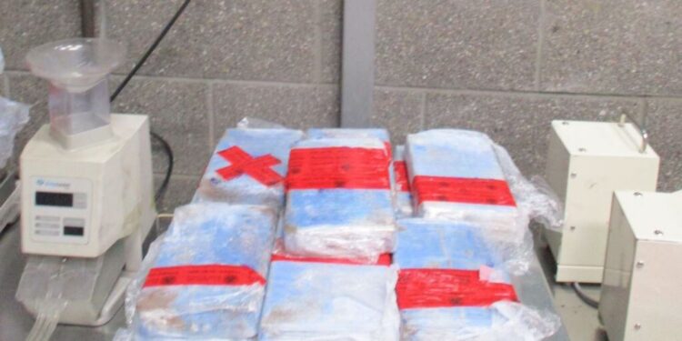 Decomisan más de 2 MDD en drogas a usuario de la SENTRI