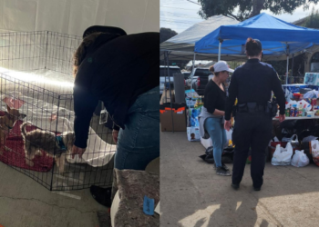 Sociedad Humanitaria de San Diego auxilia a mascotas afectadas por inundaciones