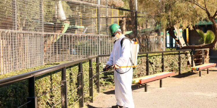 Fumigan hábitats de animales del zoológico en el Parque Morelos