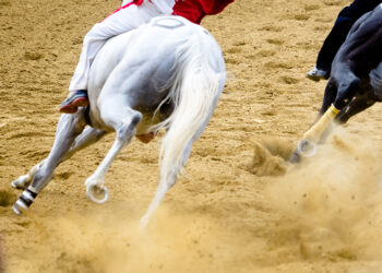 3 caballos mueren en 4 días después de carreras y entrenamientos en el sur de CA.
