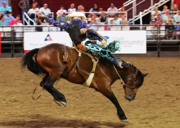 Un concejal propondrá prohibir los rodeos en San Diego, tras el evento en Petco Park