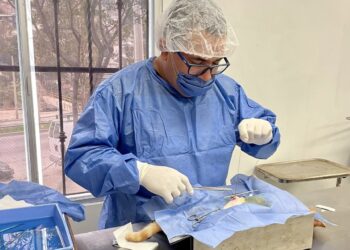 Impulsan campaña masiva de esterilización animal en Tijuana