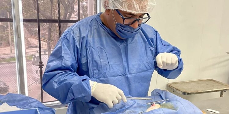 Impulsan campaña masiva de esterilización animal en Tijuana