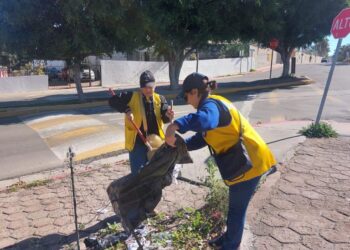 Damas del Club de Leones hacen limpieza en alcantarillas y vialidades