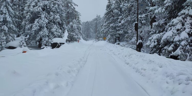 Sierra San Pedro Mártir