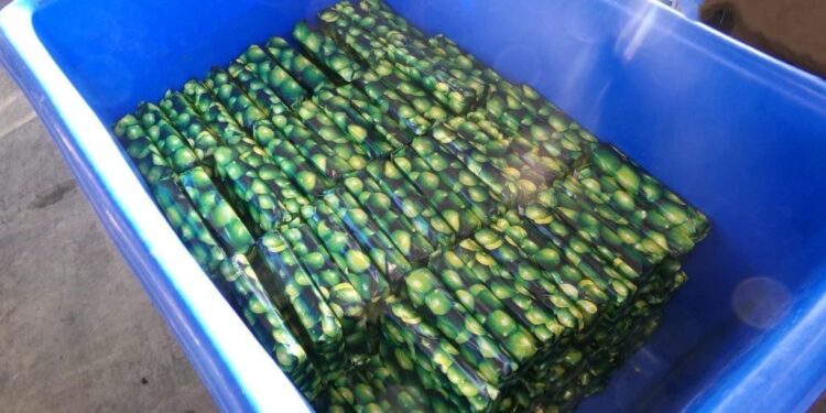 Localizan droga en cargamento de limones en garita de Otay Mesa