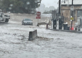 San Diego ofrece fondos de recuperación a pequeños negocios y organizaciones