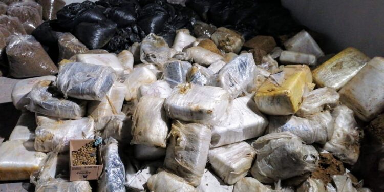 Decomisan más de dos toneladas de marihuana en Mexicali
