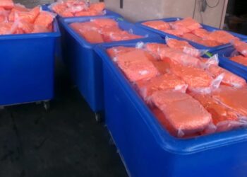 Decomisan millones de dólares en metanfetamina oculta en cargamento de zanahorias