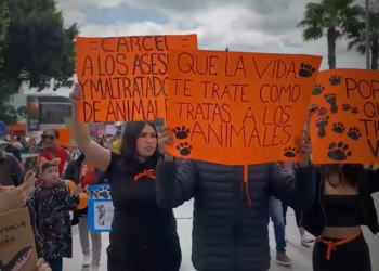 Aumentan los casos de maltrato animal en Tijuana