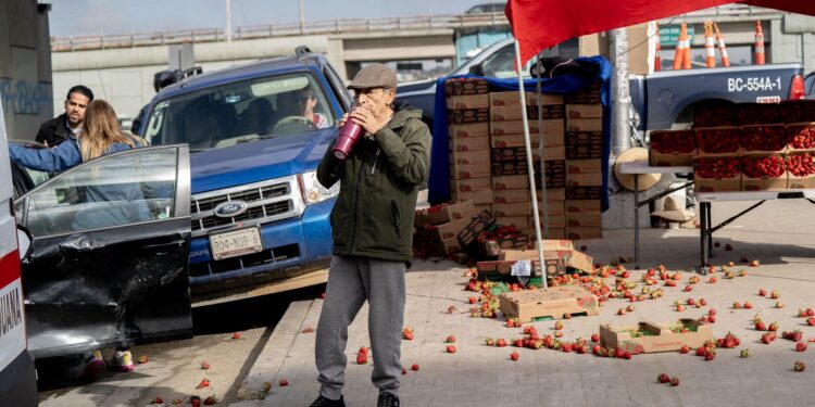 Carambola se lleva puesto de fresas en el Gato Bronco en Tijuana