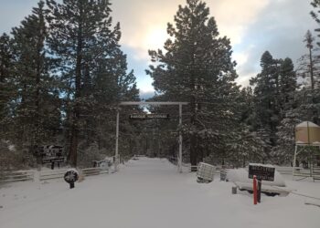 Informan caída de nieve en La Rumorosa y Parques Nacionales de BC