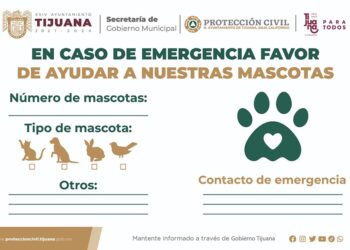 Ofrecen etiqueta para ayudar a mascotas en caso de emergencia