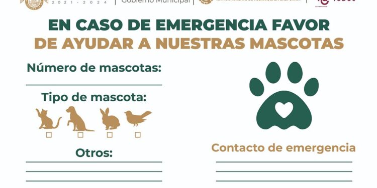 Ofrecen etiqueta para ayudar a mascotas en caso de emergencia