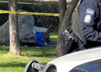 Localizan un feto en parque de Otay