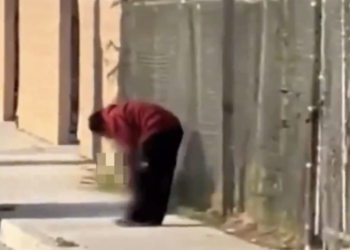 Persona sin hogar es arrestada por comerse una pierna mutilada