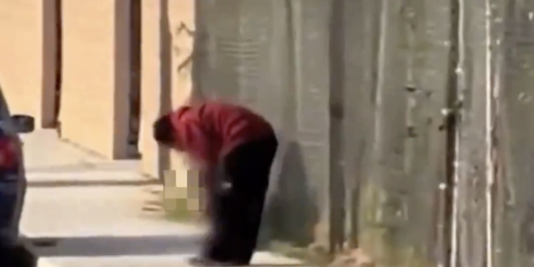 Persona sin hogar es arrestada por comerse una pierna mutilada