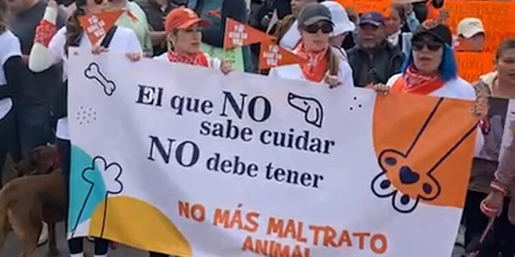 Tijuanenses marchan en contra del maltrato animal