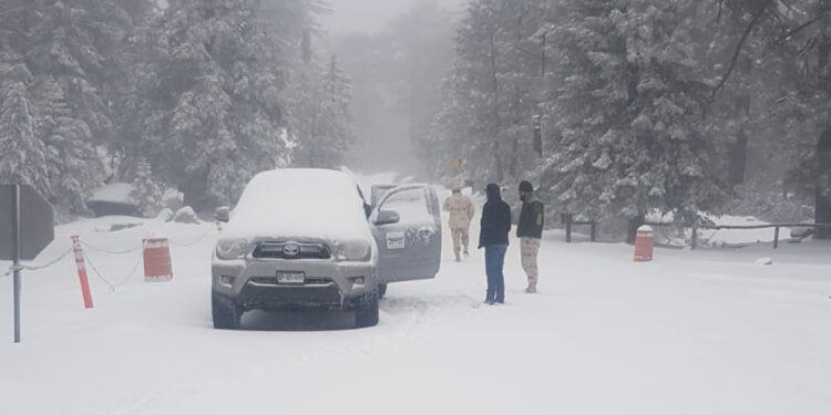 Reportan temperaturas de casi -5 grados en la Sierra de San Pedro Mártir