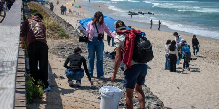 Miles de voluntarios se unen para salvar las playas de Baja California