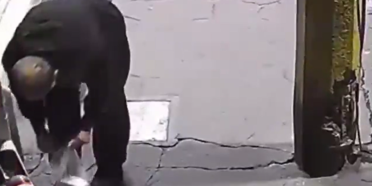 Captan a hombre robándole las croquetas a a perrito callejero