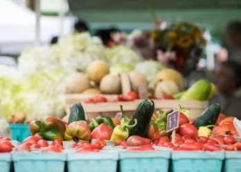 Programa Federal Revoluciona Agricultura Local y Alimenta Hogares en San Diego