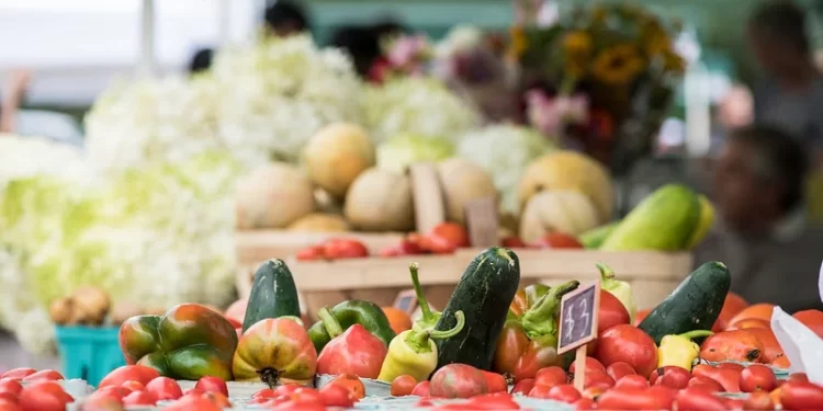 Programa Federal Revoluciona Agricultura Local y Alimenta Hogares en San Diego