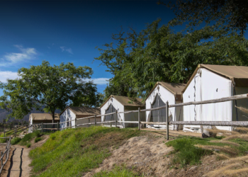 San Diego Zoo Safari Park