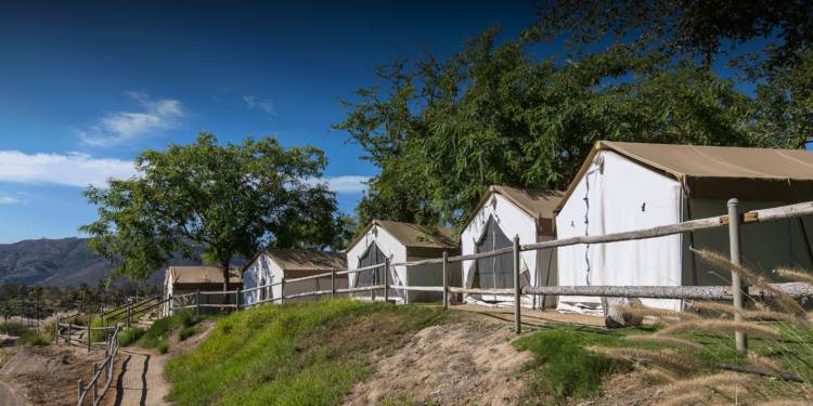 San Diego Zoo Safari Park