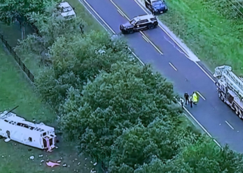Accidente en Florida deja 8 muertos y 8 gravemente heridos