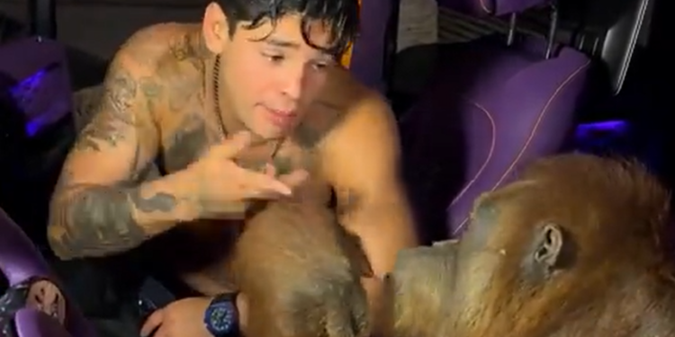 Ryan García reaparece rapeando con un orangután