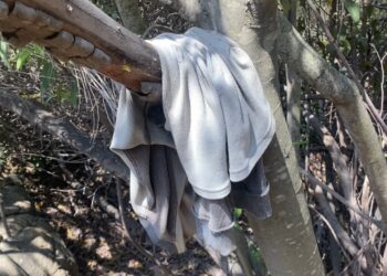 Resaltan esfuerzos binacionales para brindar seguridad en la frontera