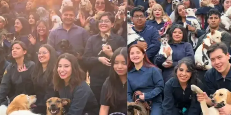 Estudiantes de veterinaria de la UNAM invitaron a sus mascotas a su graduación