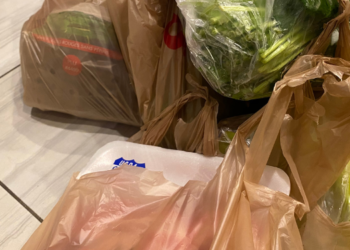 Aprueban proyecto de ley para prohibir bolsas de plástico “reutilizables”