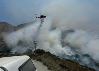 Bomberos combaten un gran incendio forestal en la frontera entre Estados Unidos y México
