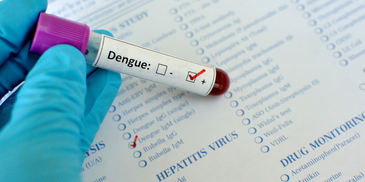 DENGUE