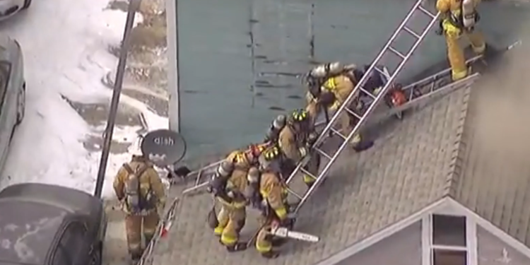 Los bomberos encuentran 15 gatos en una casa en llamas en el sur de San Diego