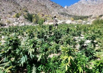 Ejército Mexicano emite resultados de la Estrategia Nacional de Seguridad Pública en BC