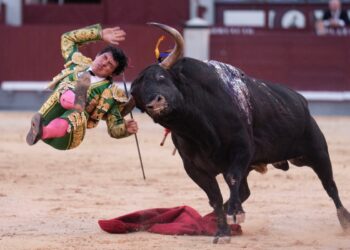 Torero mexicano sufre cornada en Madrid
