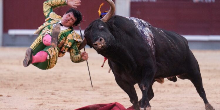 Torero mexicano sufre cornada en Madrid