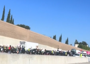 Manifestantes bloquean autopista 405 en Los Ángeles exigiendo alto al fuego en Gaza